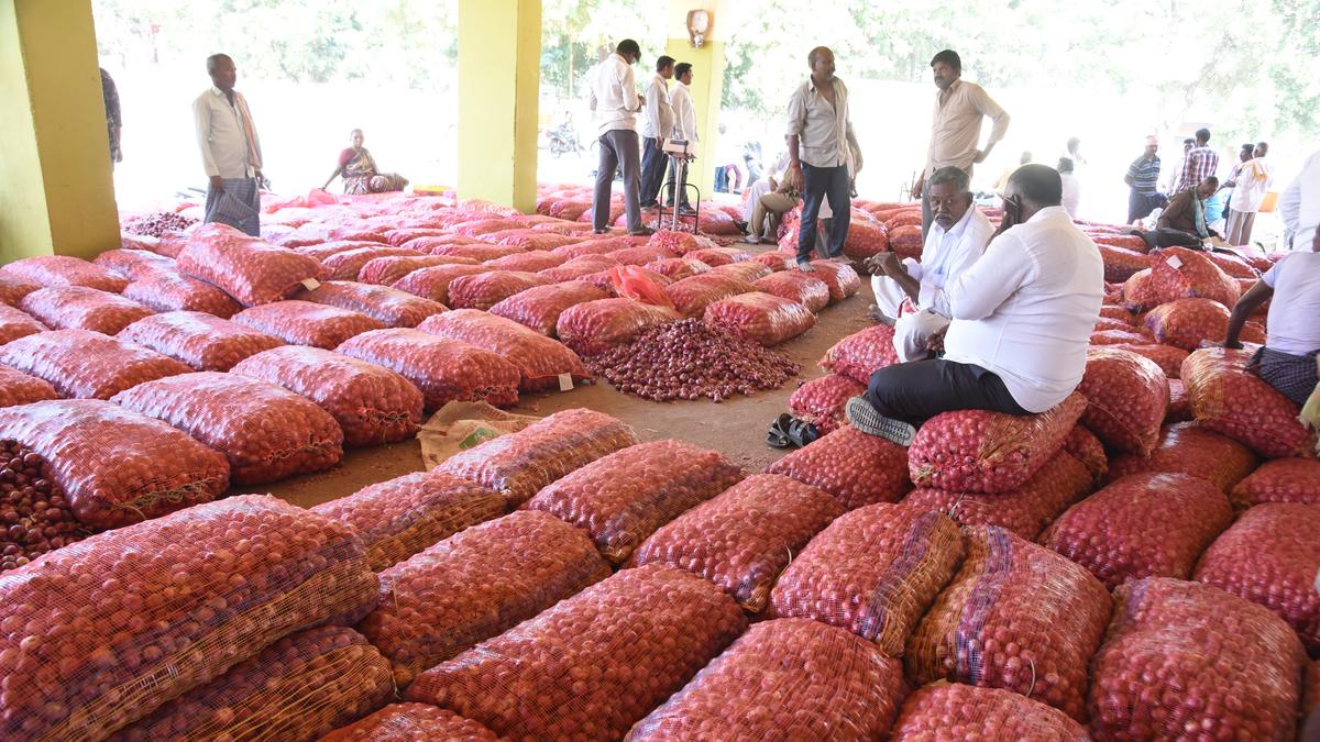 Onion procurement by A.P. govt. to be stopped from September 22 as compensation announced for farmers